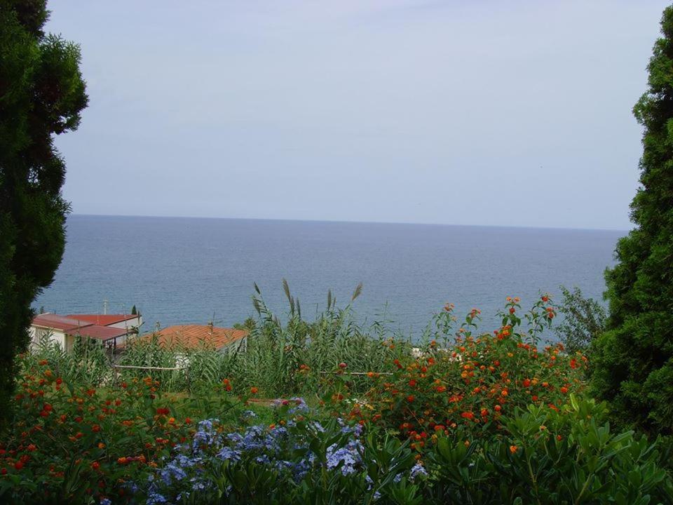 Case Vacanze Con Piscina Altavilla Milicia Exteriér fotografie